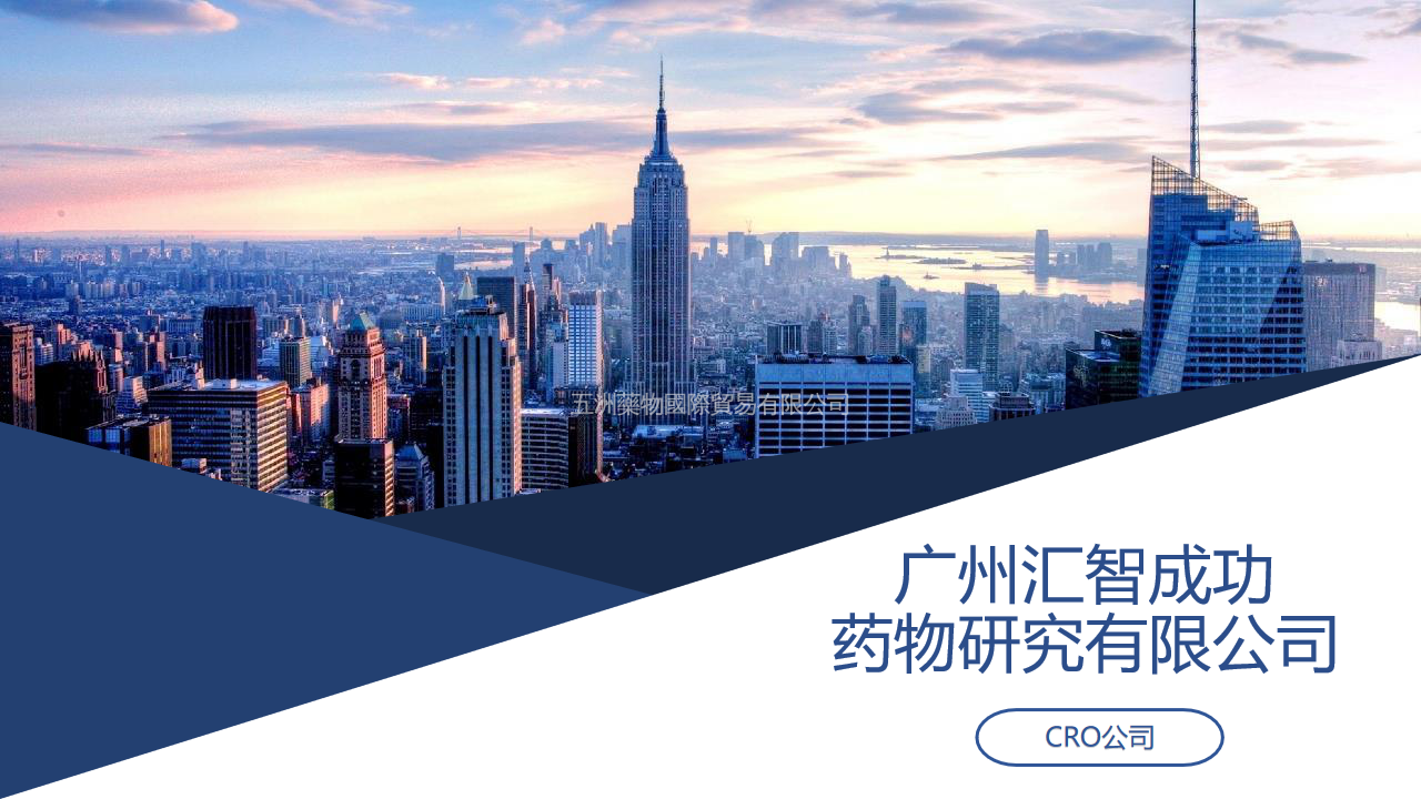 广州汇智成功药物研究有限公司